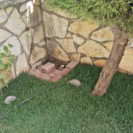 شقة Blue Mare ساراندا